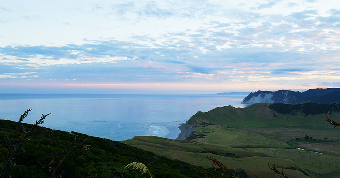 Back To The Source - Authenticity For Manuka Honey