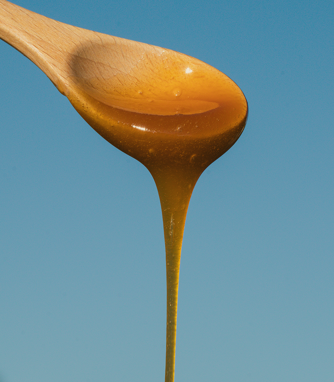 Raw vs. Processed Honey: Why Unheated Manuka Honey is Superior