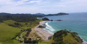 New Zealand's Nectar: The Unique Landscape Behind Manuka Honey Production