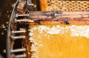 The Sweet Truth: Uncovering the Worth of Manuka Honey