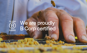 Our B Corp and Sustainability Journey