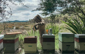 The Fascinating Journey of Manuka Honey: From Traditions to Superpowers