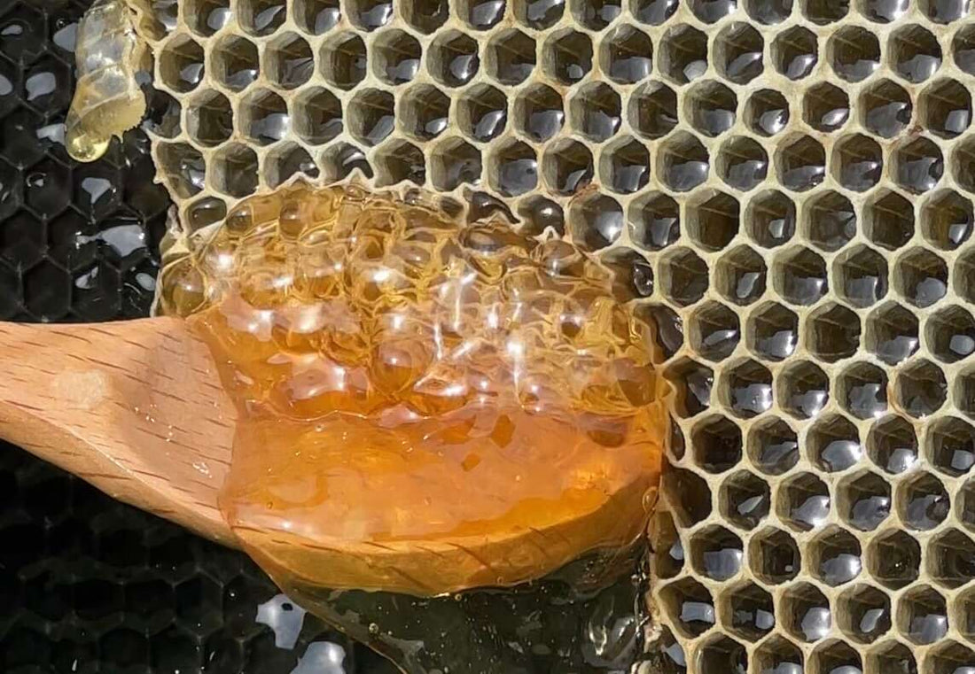 A Side-by-Side Taste Profile: Manuka Honey vs. Tupelo Honey