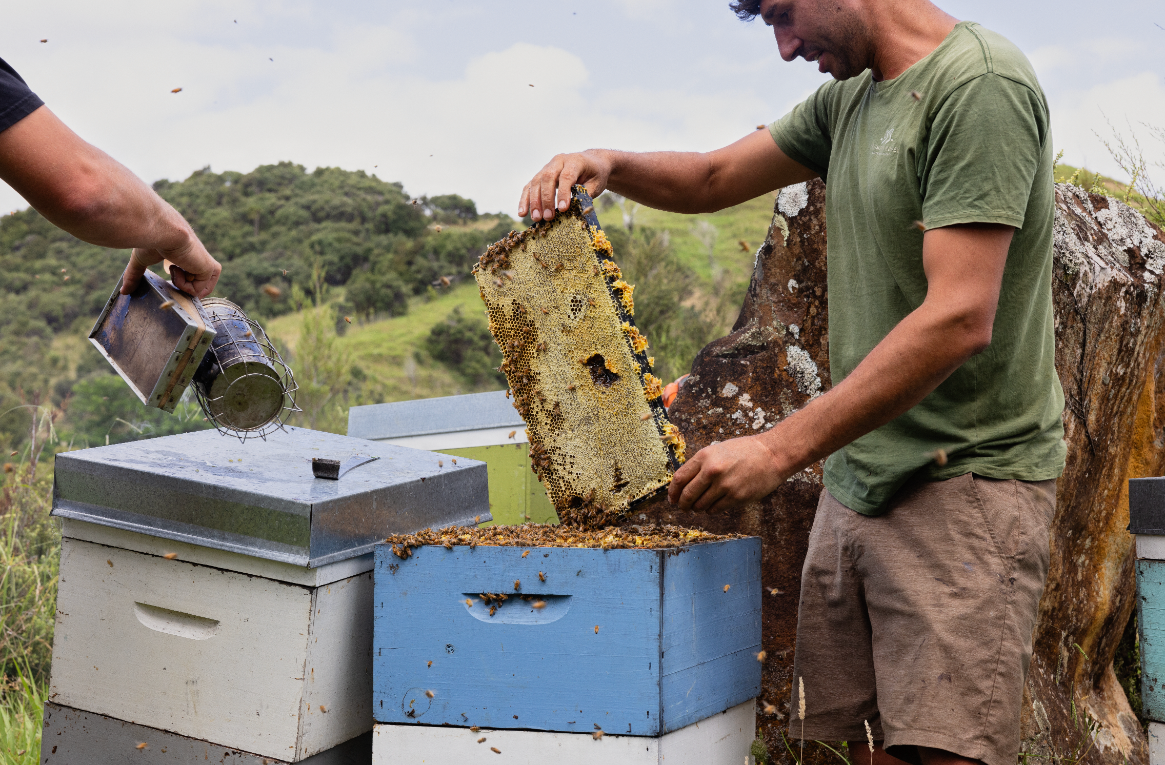 Why Traceability and Label Clarity Matter to First-Time Manuka Honey Buyers