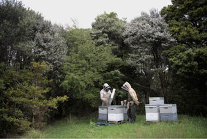 Ethical Beekeeping: A Guide for Sustainable Practices