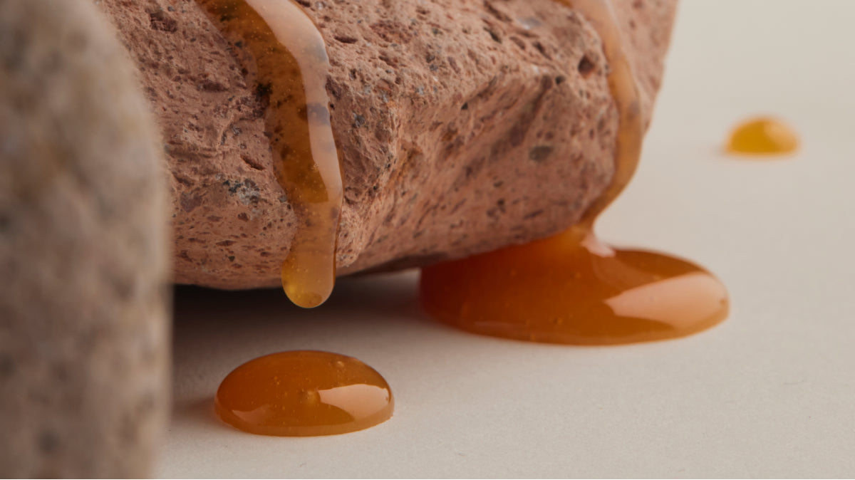 Exploring the Antifungal Properties of Manuka Honey: Facts and Findings