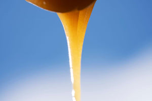 Dark Honey vs. Light Honey: What Are the Differences?