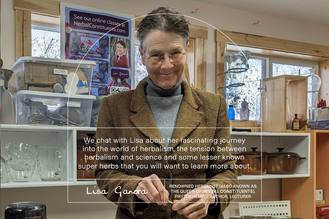 November Sweet Talks with Leading Herbalist and Phytochemist