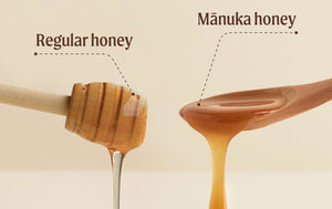 Manuka Honey vs. Local Honey: What Sets It Apart?