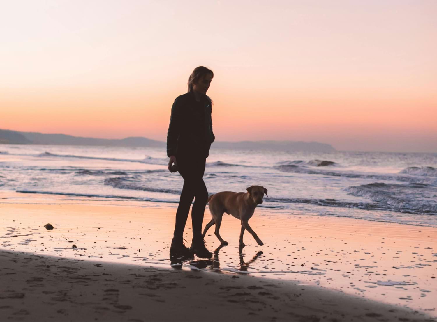 Is Honey Safe for Dogs? A Comprehensive Guide