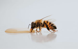 Cracking Down on Counterfeit: How to Verify the Purity of Your Honey