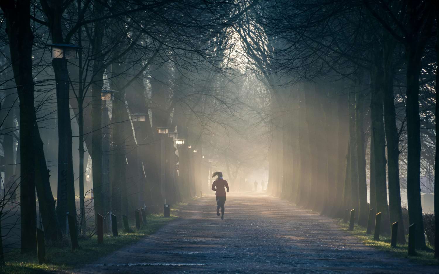 Manuka Honey for Energy, Exercise, and Sports Performance