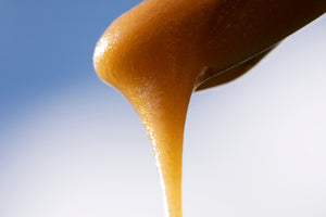 Manuka Honey Benefits and Uses