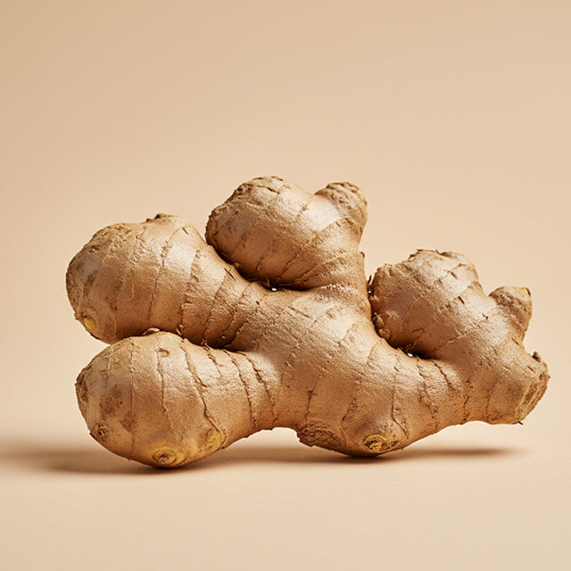 Organic Ginger Extract
