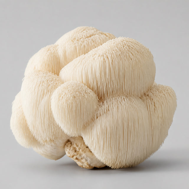Organic Lion's Mane Mushroom