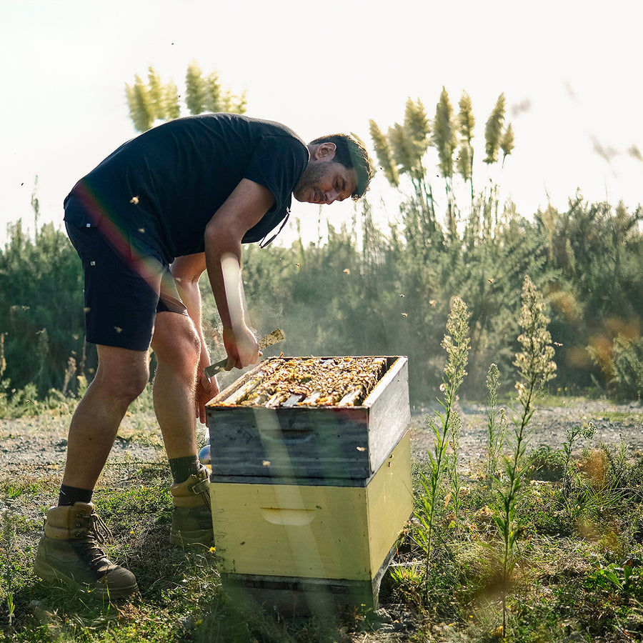 Most hives will never produce honey like this.