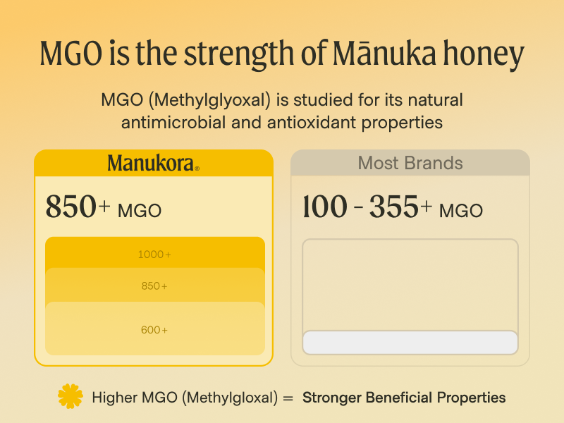 MGO 1000+