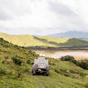 Manukora transporting capped Manuka Honey